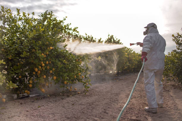 Pest Control Cost in Munhall, PA