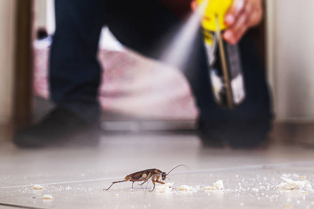 Best Mosquito Control Services  in Munhall, PA